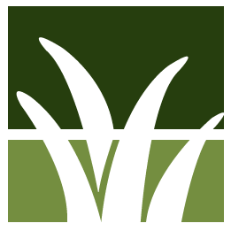 Fall Lawn Cleanup Service Pros