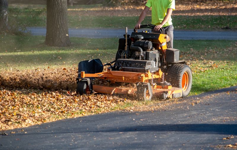 Fall Lawn Cleanup Service