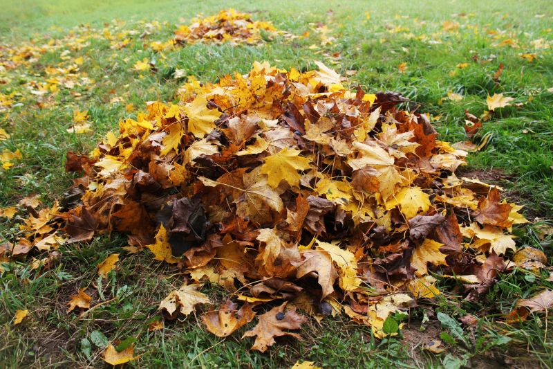 Fall Lawn Cleanup Service