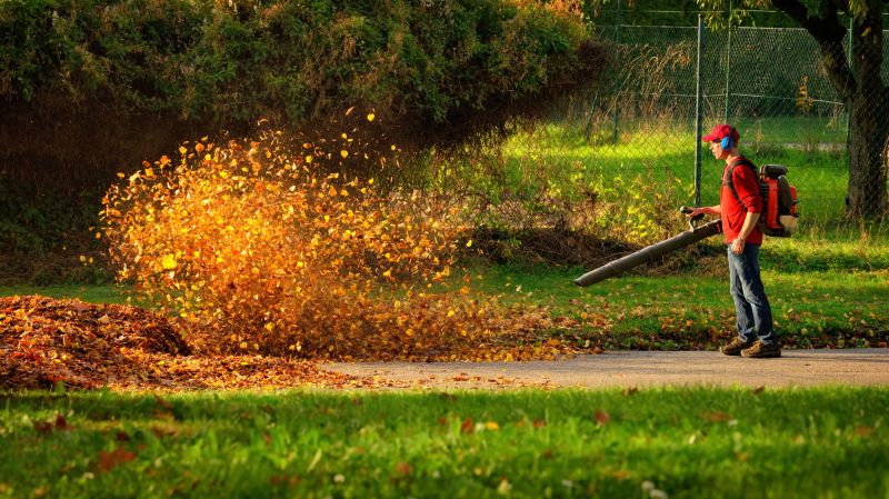 Leaf Blowing in Fall